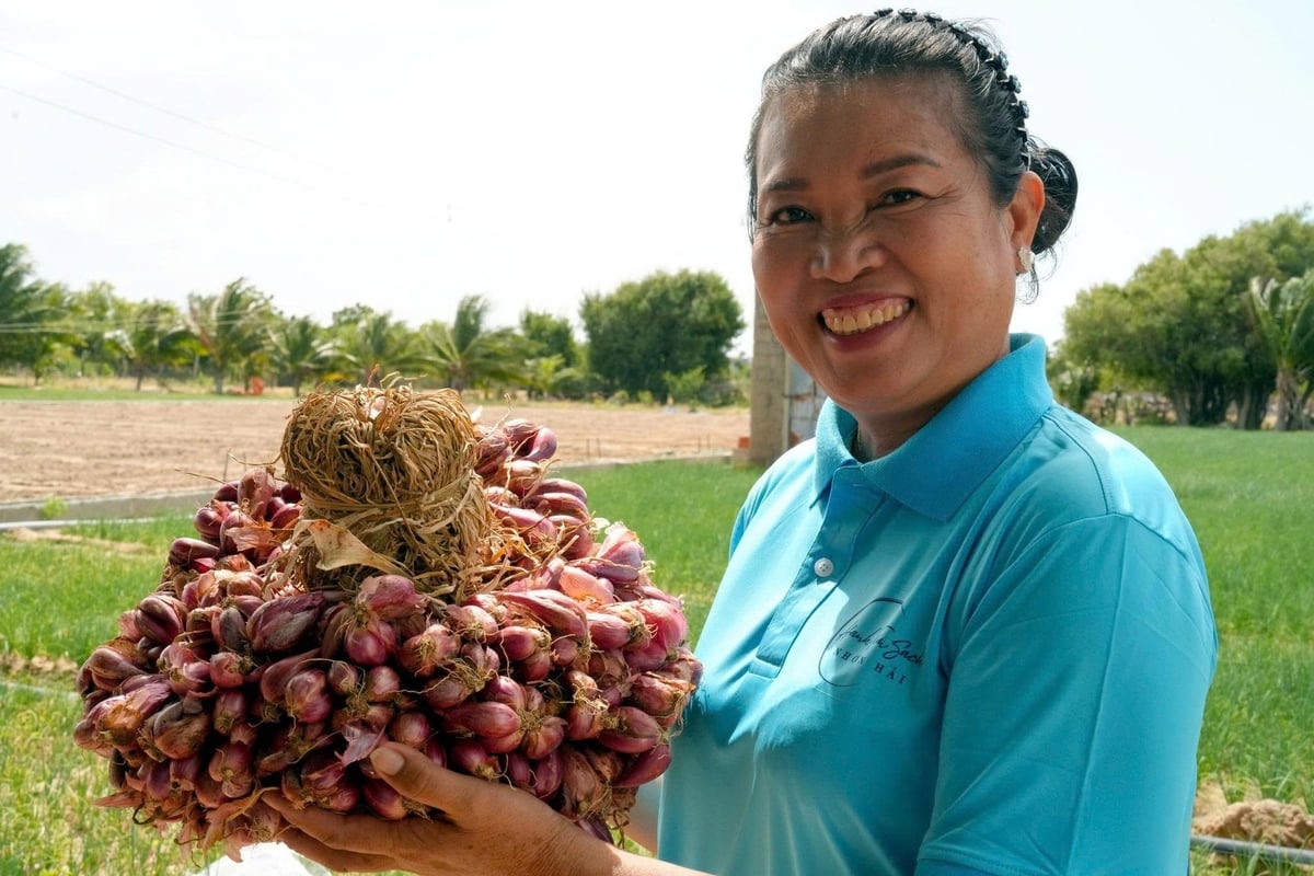 KHÔNG CÓ EM…    Một ngày vắng em  Thui thủi một mình  Từ ngày em vắng  Ngày dài hiu hắt  Anh mượn âm thanh, nghe giải sầu    Không có em, tôi làm thơ  Vắng em, thơ tình thật vu vơ  Vắng em, thơ tình gửi cho ai?    Một ngày em vắng  Lặng lẽ một mình  Từ ng