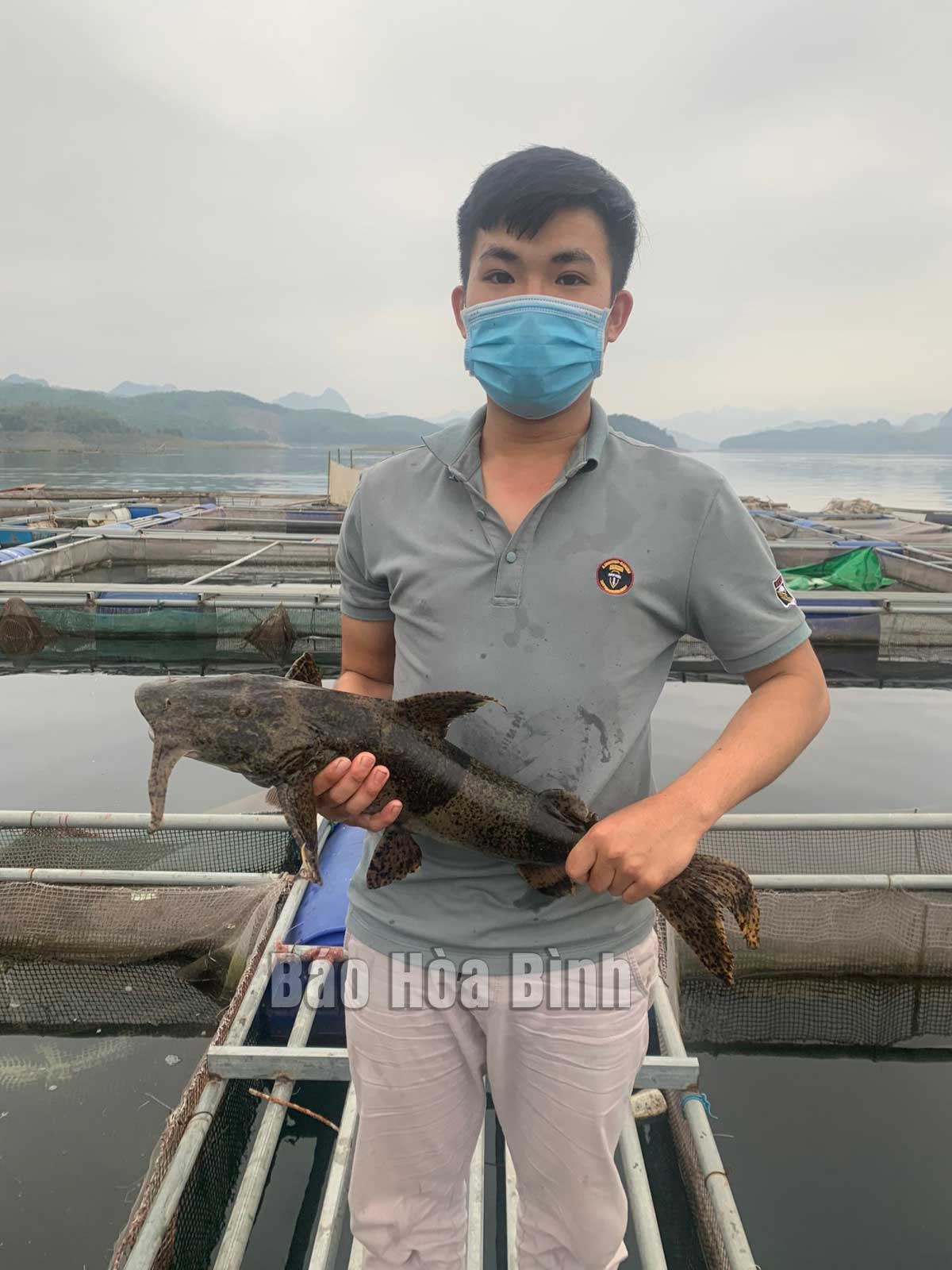 Trên nuôi con đặc sản nhai lá, dưới nuôi thứ cá 