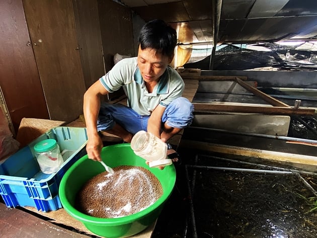 Nuôi con đặc sản bình dân dày đặc ở Hà Tĩnh, bắt cuốn chiếu, bán quanh năm, anh Đài Loan phát tài