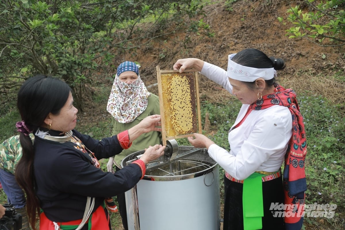 Mật ong Bản Dao khẳng định thương hiệu OCOP 3 sao