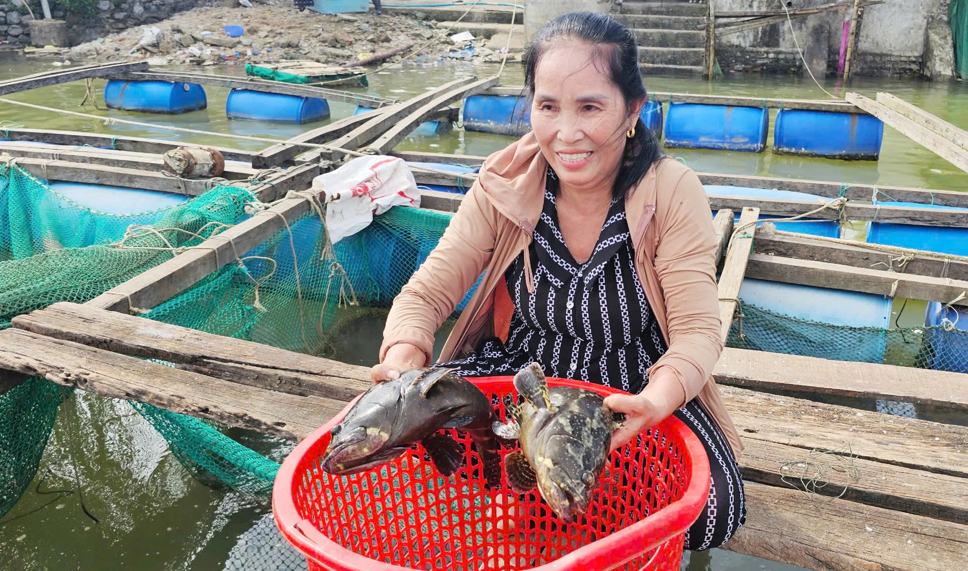 Xây dựng thương hiệu cá lồng sông Gianh