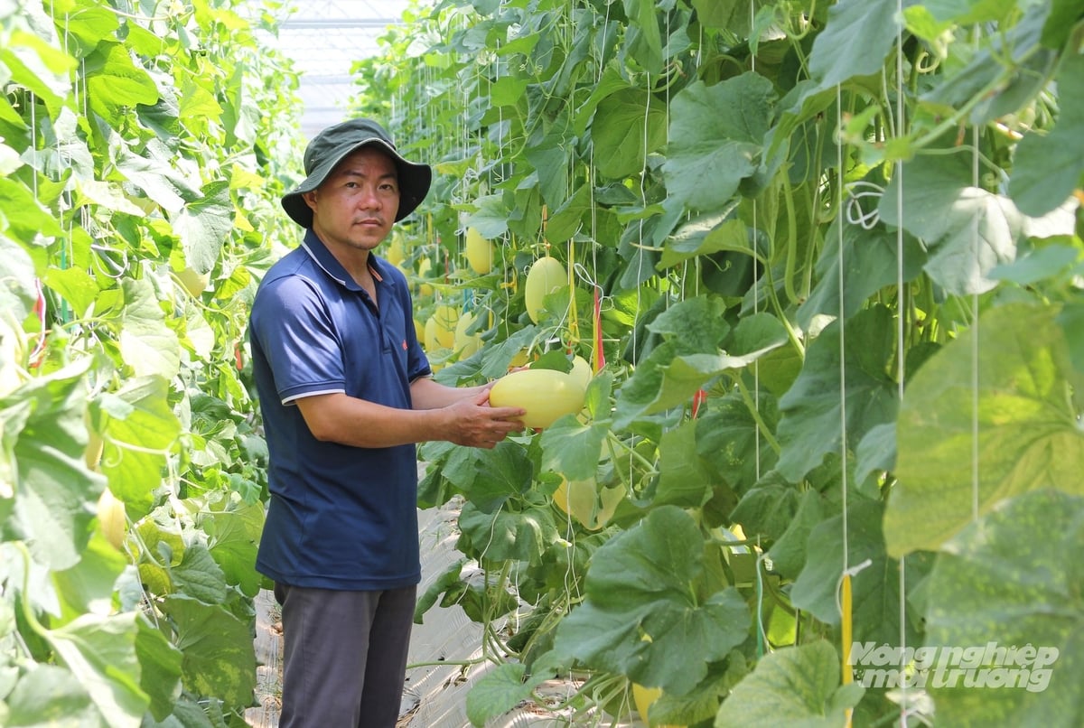 Làm chủ sản xuất nhờ giải pháp canh tác thông minh