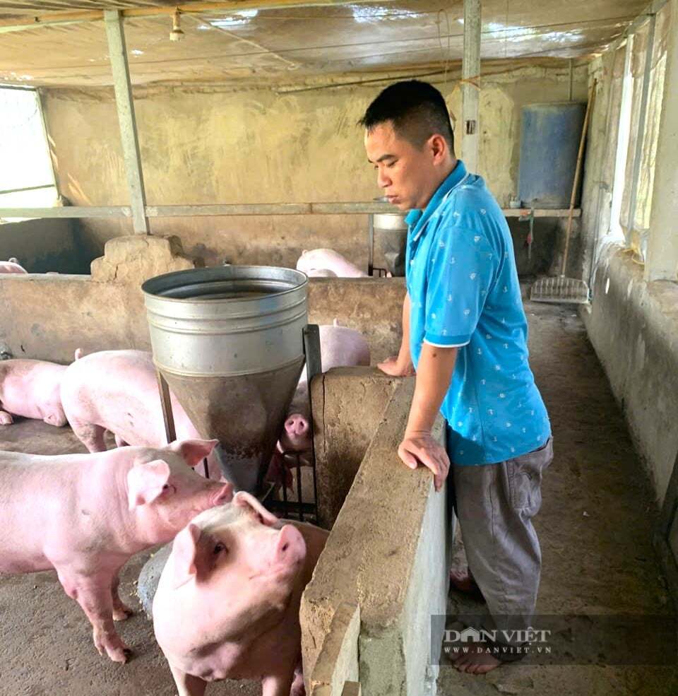 Bỏ lương giám đốc, trai họ Nguyễn về quê Nghệ An làm trang trại đẹp như phim, tự trả lương 