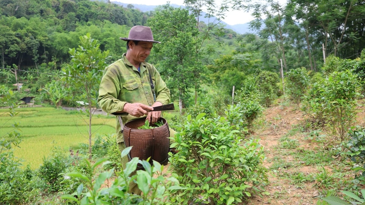 Chè Tán Ma - nét đẹp truyền thống của người Thái
