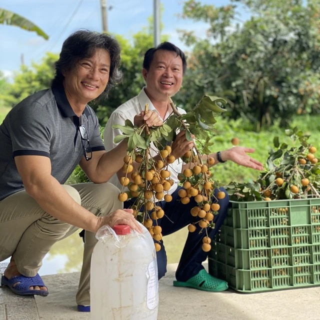 'Bí quyết' trồng thanh nhãn thu lãi hơn nửa tỉ đồng mỗi năm