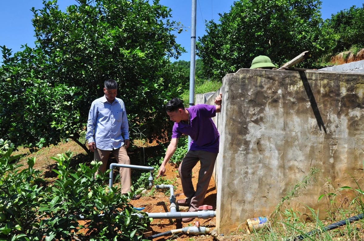 Tưới thông minh cho cây ăn quả: Một nghị quyết thay đổi 765 ha