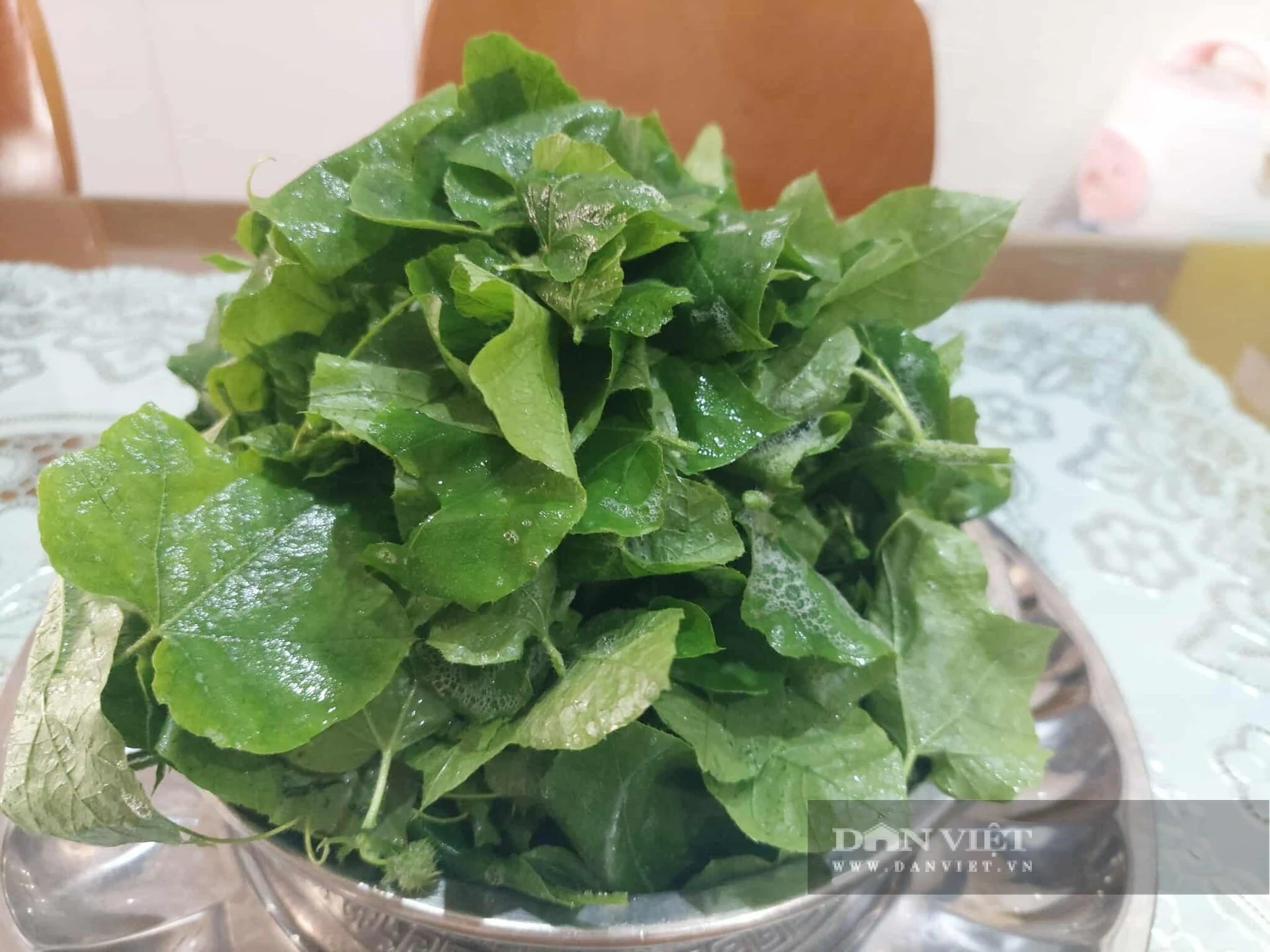 Ngó lơ cá thịt đi, ăn loại rau dại mùa hè này, đêm đặt lưng xuống, giấc ngủ 