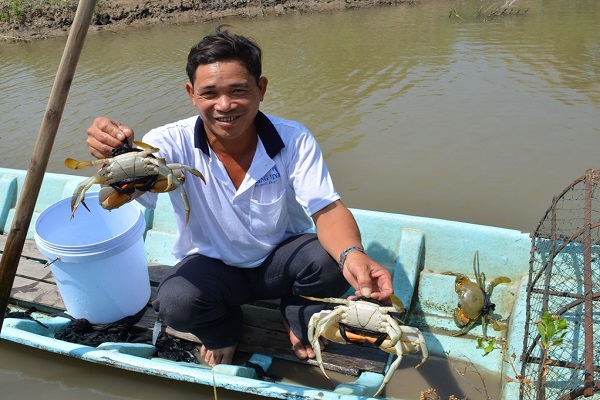 Kỹ thuật nuôi cua biển thương phẩm trong ao vừa tiết kiệm vừa cho lãi lớn