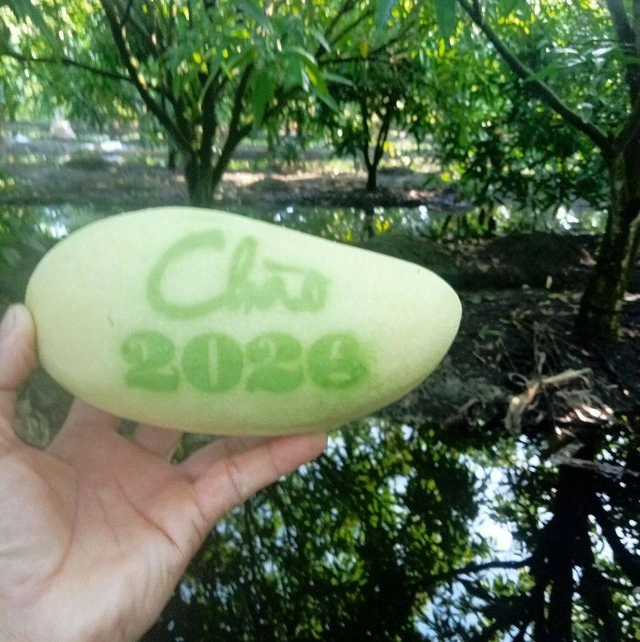 Trái cây tạo hình Tết Bính Ngọ: Nhà vườn miền Tây chăm chút từng sản phẩm