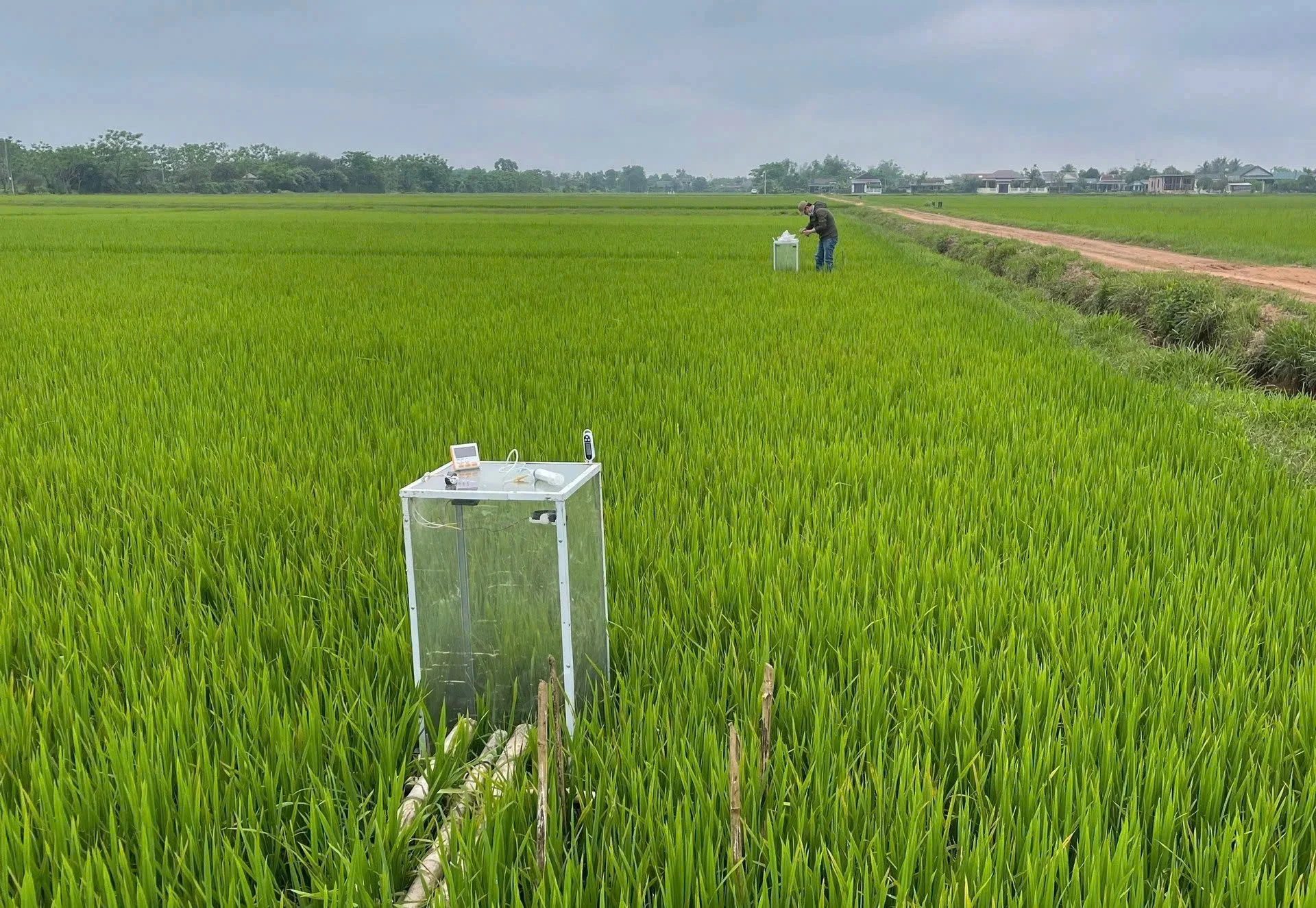 'Đất lửa' tạo dựng giá trị xanh