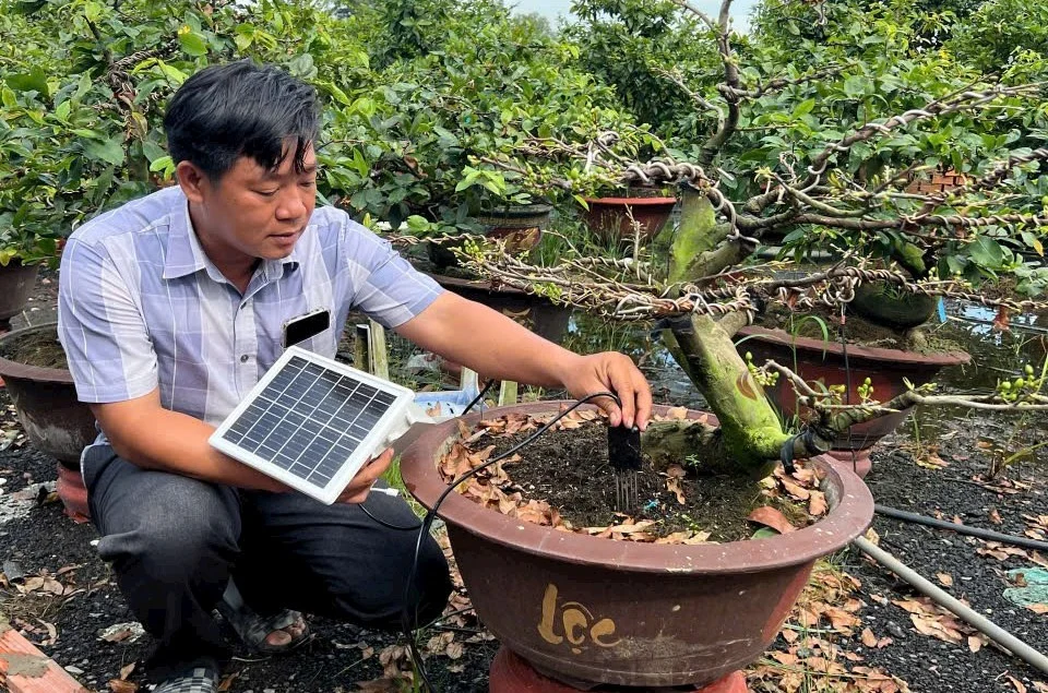 Bí quyết trồng rau công nghệ IoT và chăm mai Tết của nông dân 4.0 TP.HCM